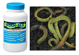 LEGEND LAB WORM GLO TURNS LIVE WORMS CHARTREUSE FISHING 2 oz. Bulk